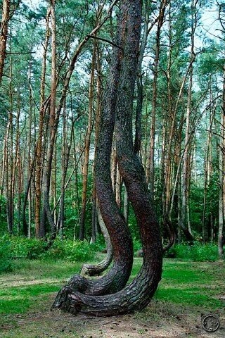 I - 2025-10-26T113346.035