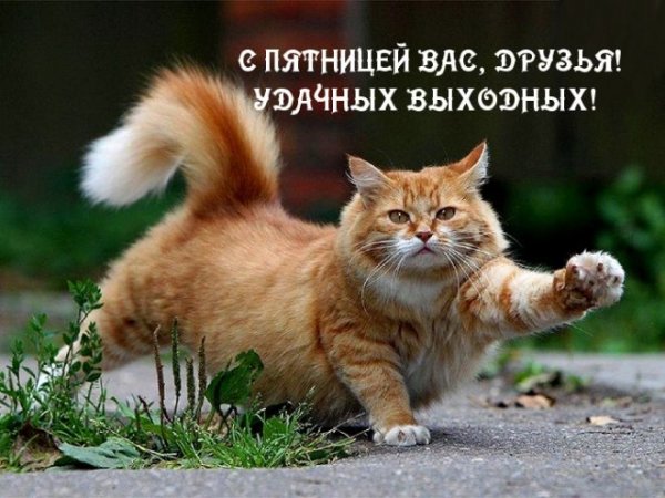 fd29634b00d28448b7346c512635bcb8