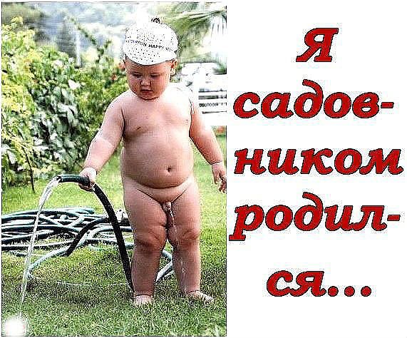 IMG 20161128 080815 17