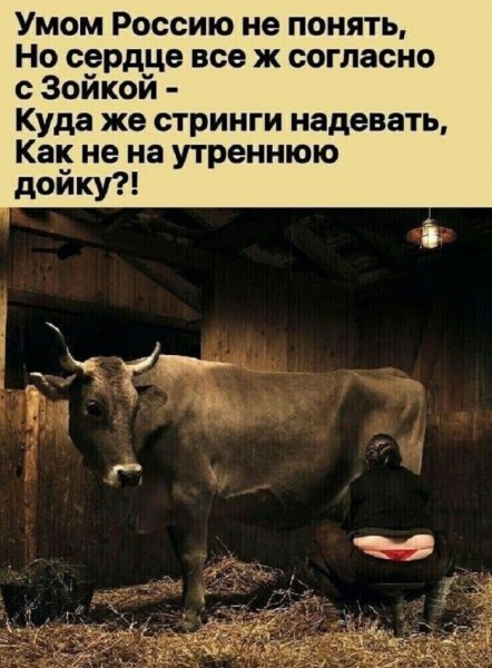 Jumor-v-kartinkah-i-memah-dlja-podnjatija-nastroenija-25