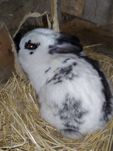 IMG 20250122 172157 1