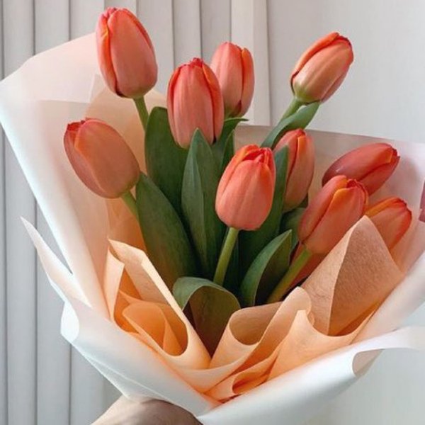 IMG 20220313 002044 701