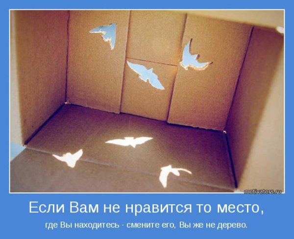 novye-motivatory-16