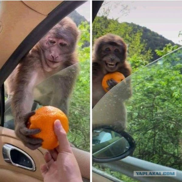 ))