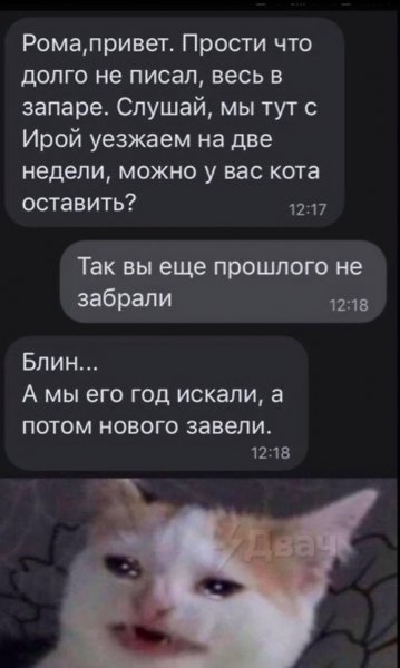 IMG 20260820 172528 207