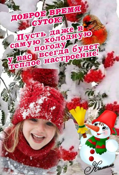 Друзья мои!