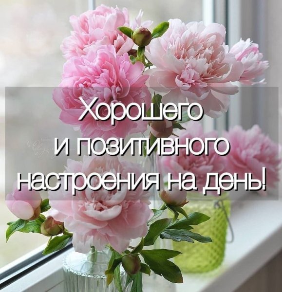 Друзья мои!