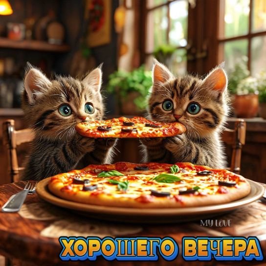 7cfc1485ad83eda2a65df20bf8d7d5df