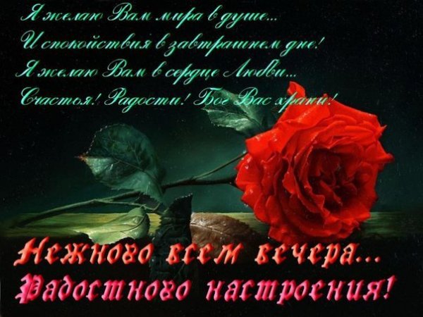 IMG 20190207 670931