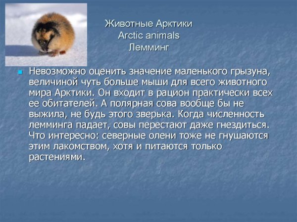 Лемминг
