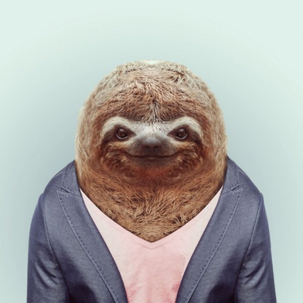 Zoo-Book pixanews-2-680x680