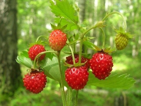 I - 2025-05-26T120211.046