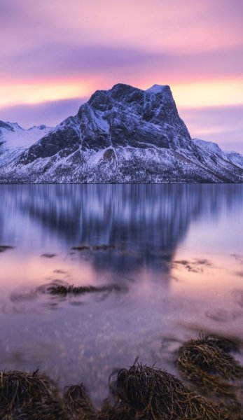 Screenshot 20260326-141811 One UI Home