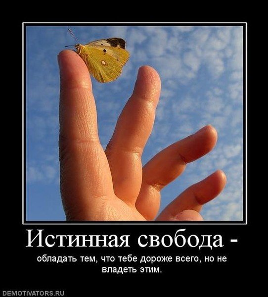 pics