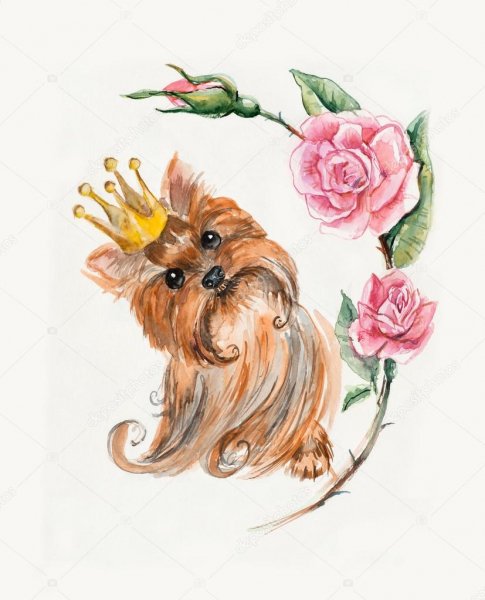 depositphotos 48994617-stock-photo-dog-with-a-crown-yorkshire