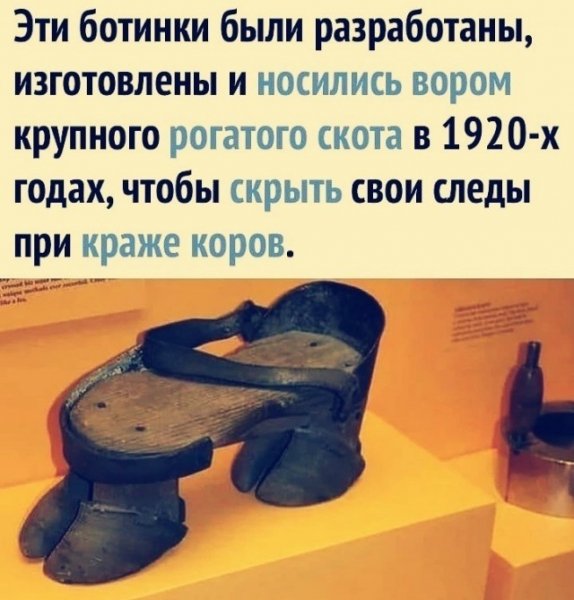 51b74737aa 20509324
