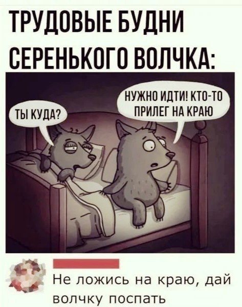 HfN-FMsTRf0