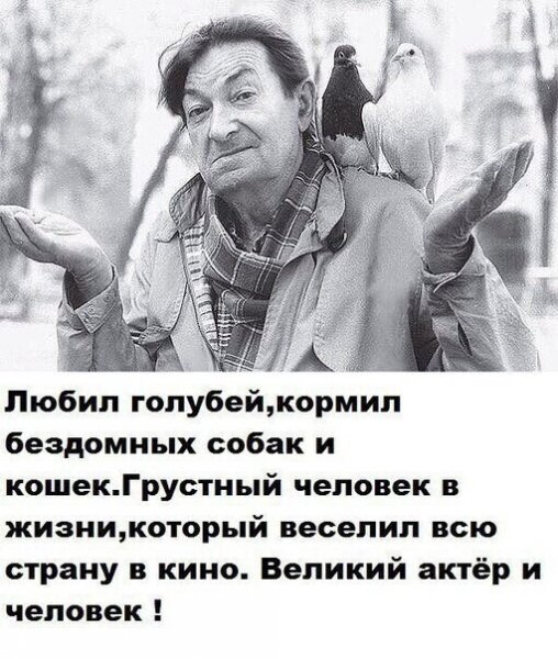IMG 20230710 230600