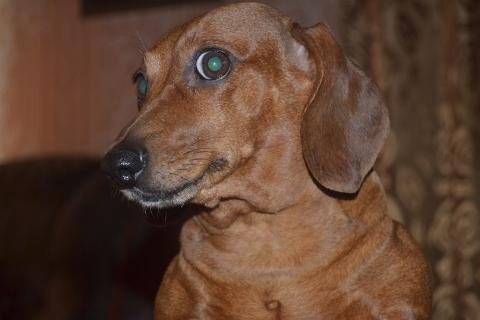 PhotoChooser-1afaab26-d2ad-4948-b958-e30