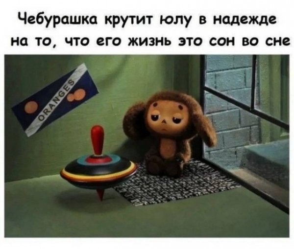Fc117bd5f1 20254823