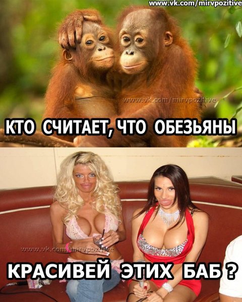 пздц