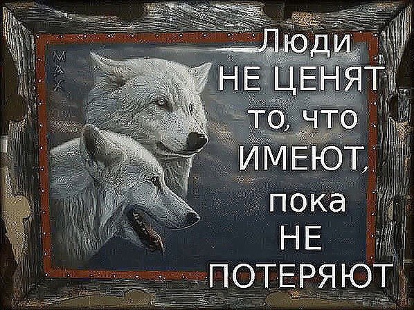 IMG 20181102 200503