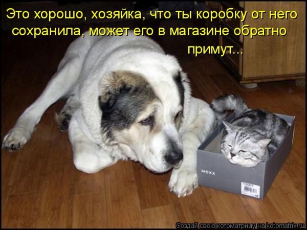 И то верно! )))