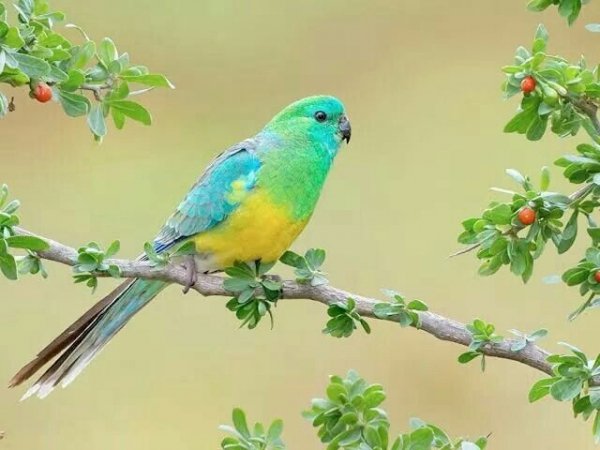 1d450b46bee016b33f2384d1356b6f03