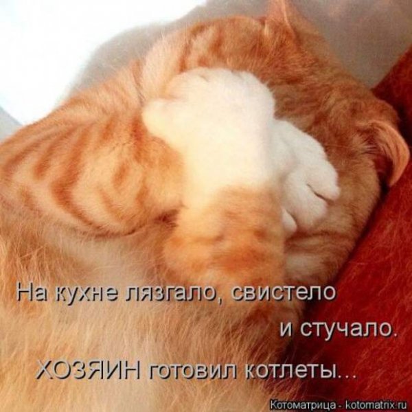 Хозяин готовил котлеты