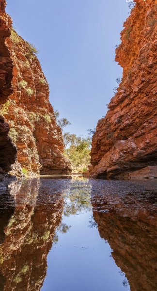 Screenshot 20260122-111500 One UI Home