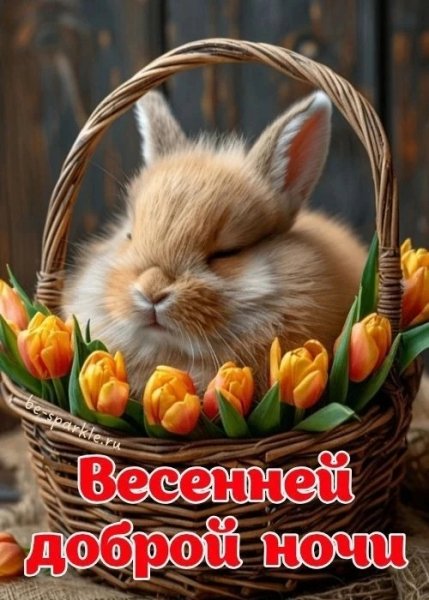 IMG 20260416 221122 399