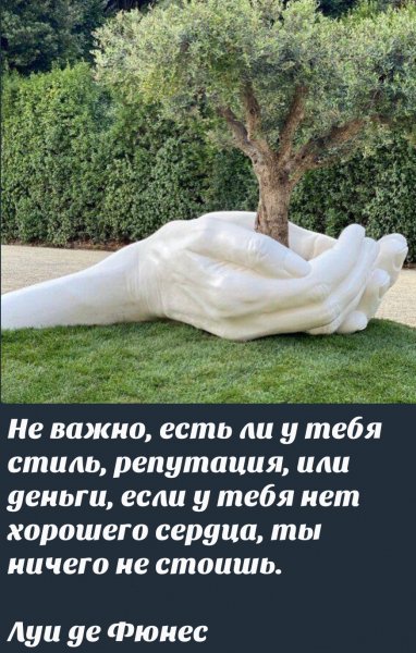 IMG 20250608 093205