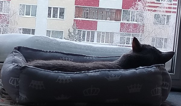 IMG 20250109 100251 edit 36427208808967