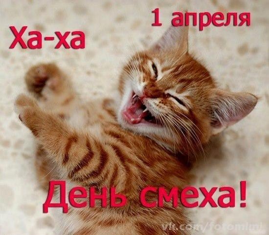 IMG 20180401 152305 12