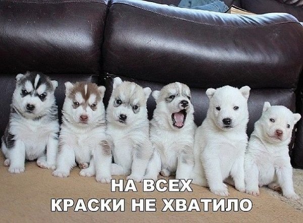 IMG 20181221 210421 0