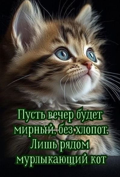 F29cfe77b214895f4520e8503bfc6026