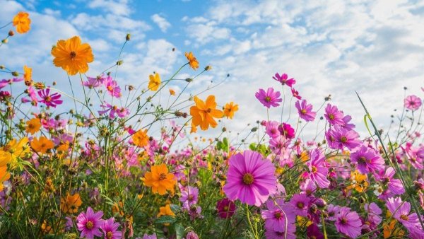 14e72971-06b7-55c3-b94f-d246b660f609