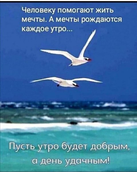 IMG-20210715-WA0000