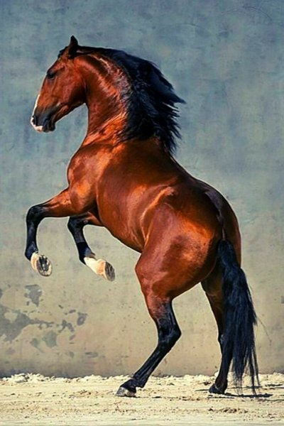 04f0cc428d741ed10792022fa0d4455e