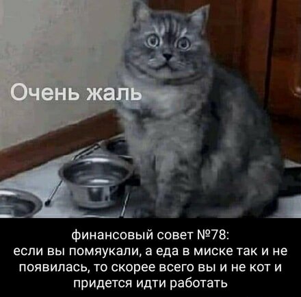 Мяу )