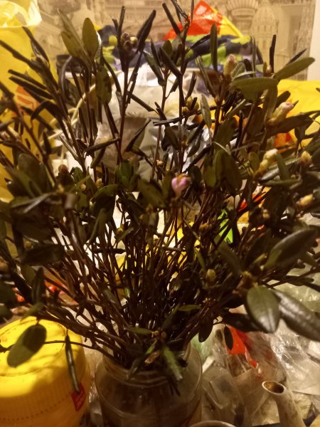 picture_384025598