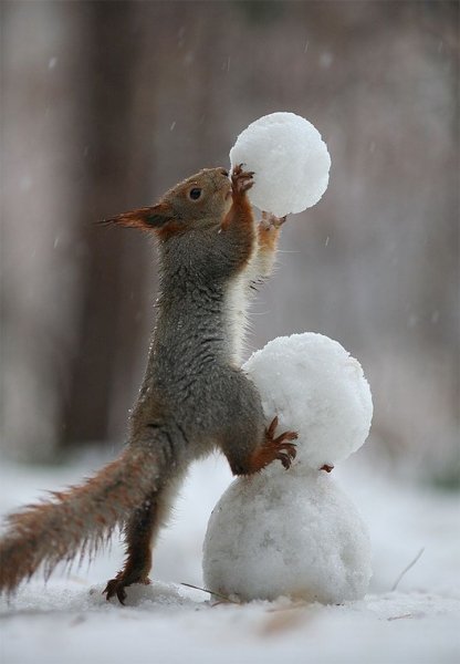 eb368560af64ce796ac91d58b37e3459