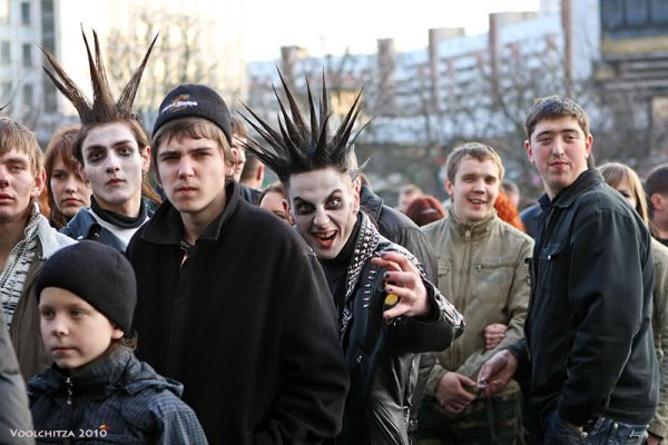 Voolchitza kish kukriniksy -1113