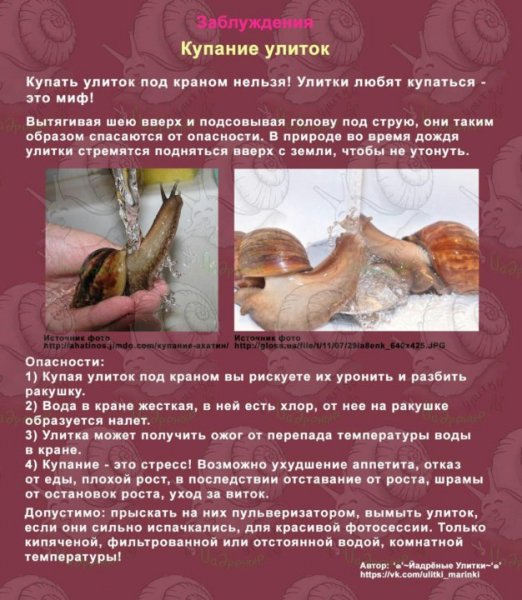 Купание улиток