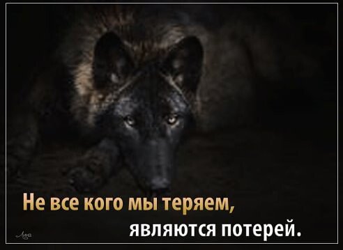 image (2) (3)