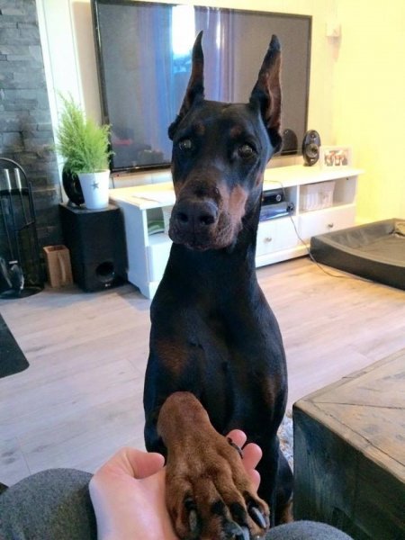 52c1c0290641d04546c71bde5d3894b3