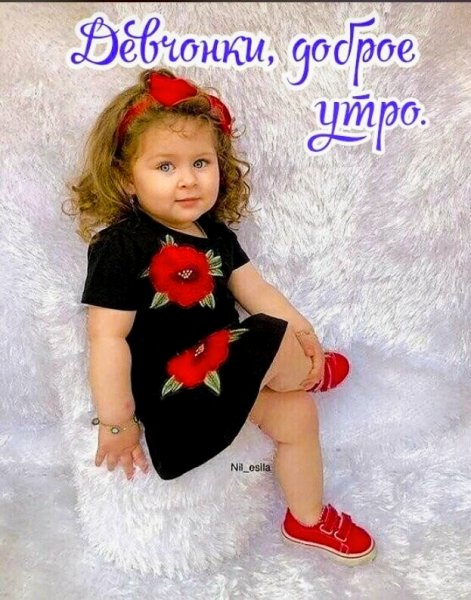 picture_411369795