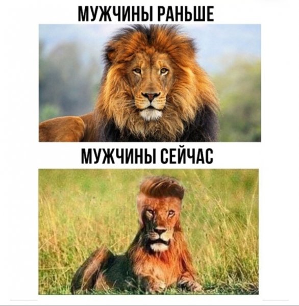 IMG 20180716 150840