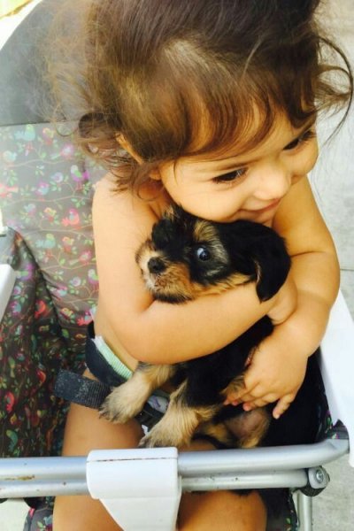 da7fae88dfe5393ab027df188bddfe71