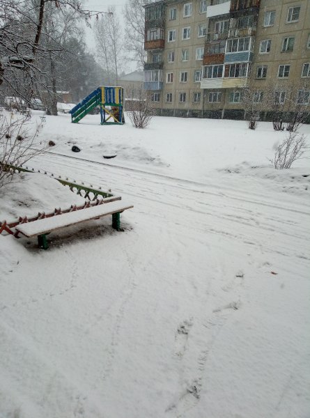 IMG 20200319 095419